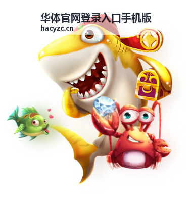 华体官网登录入口手机版验证码接收说明