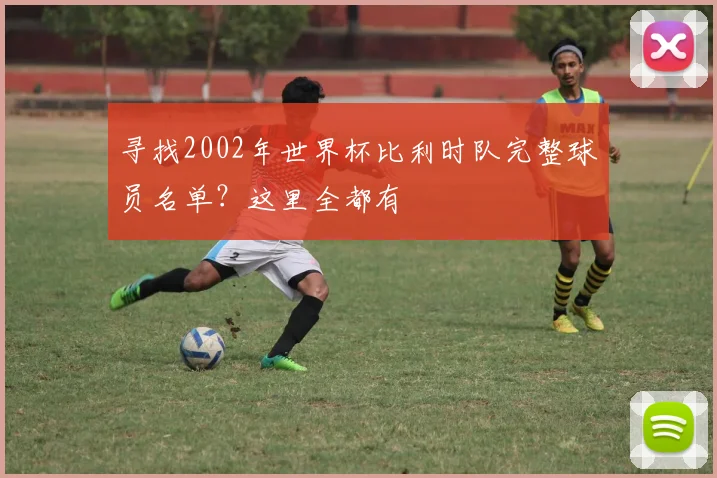 寻找2002年世界杯比利时队完整球员名单？这里全都有