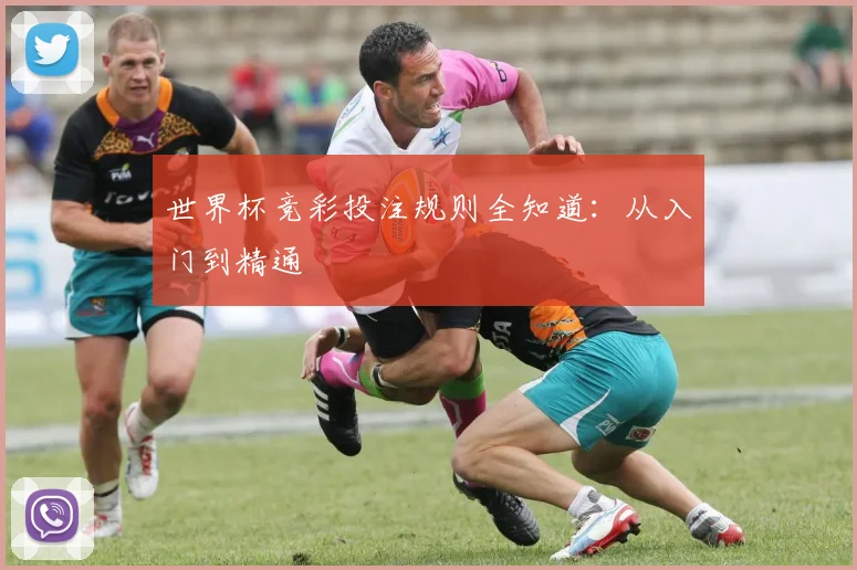 世界杯竞彩投注规则全知道：从入门到精通
